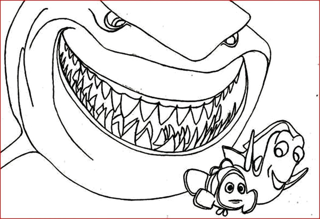 1051x721 Tiger Shark Coloring Page Co Luxury Free Printable Shark Coloring