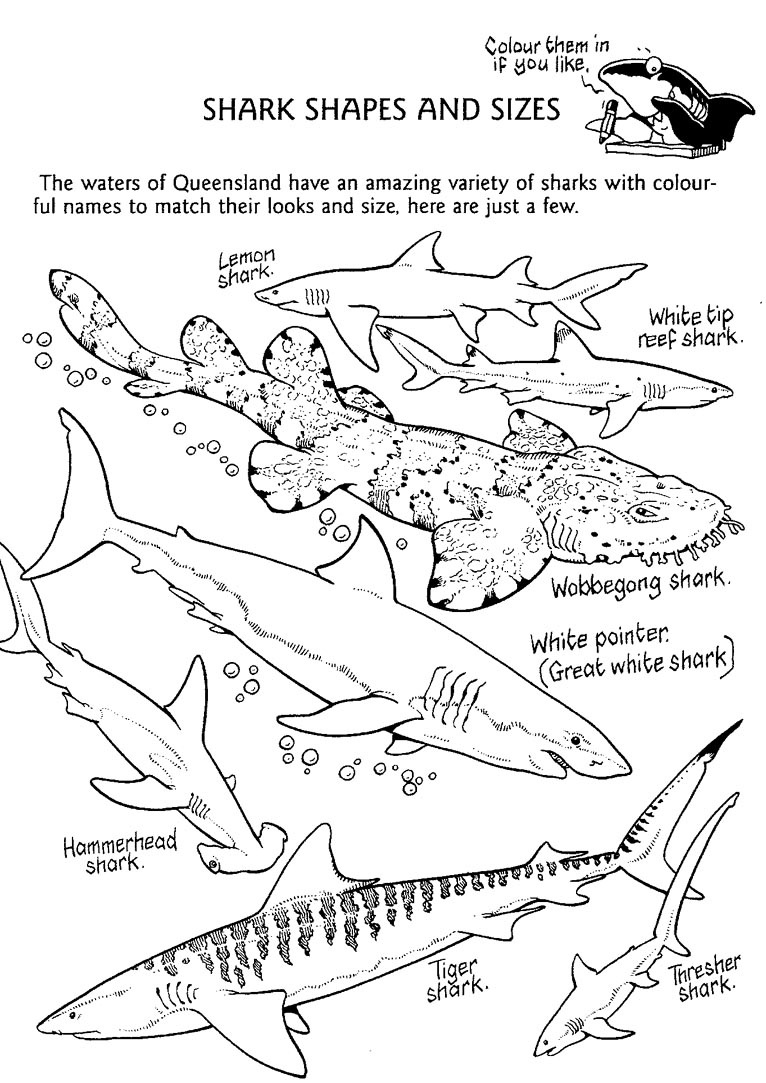 766x1083 Tiger Shark Coloring Page Free Printable Pages For Also