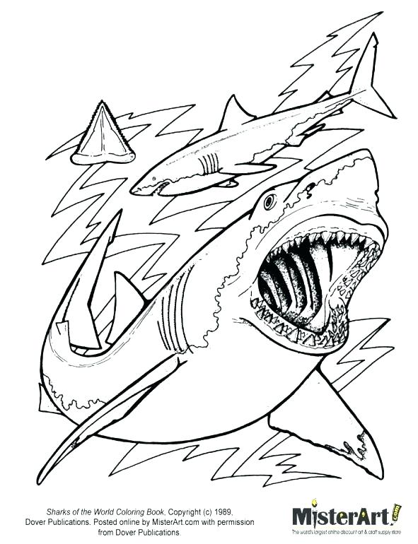 591x770 Whale Shark Coloring Page Whale Shark Coloring Page Tiger Shark