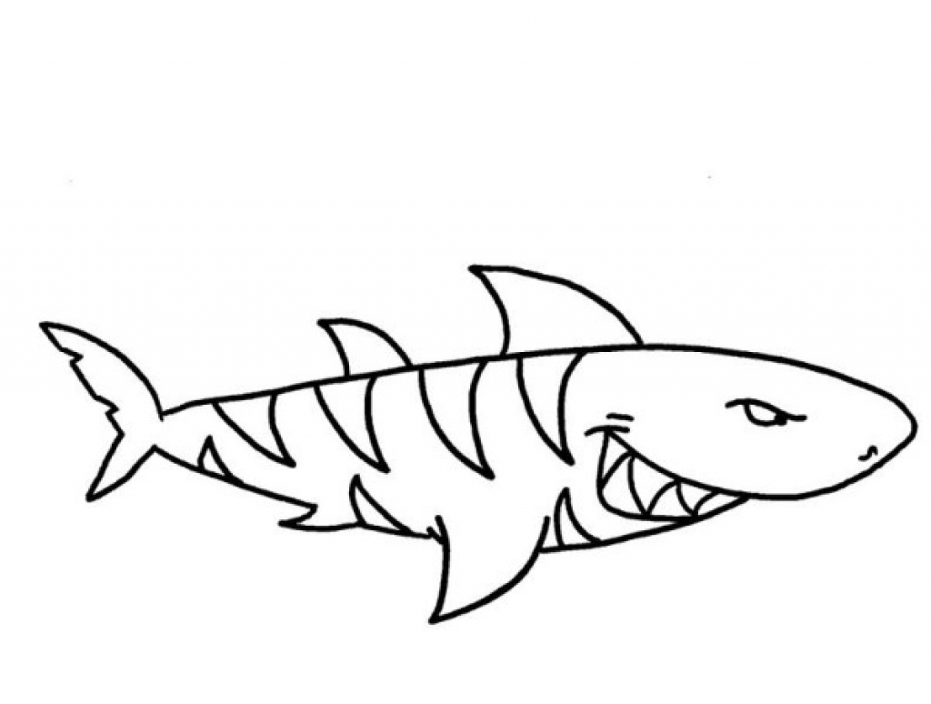 1024x774 Tiger Shark Coloring Page Newyork Rp Tiger Shark Coloring Pages