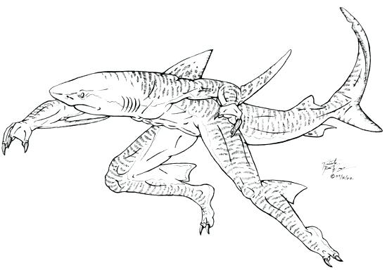 550x384 Realistic Shark Coloring Pages Great White Shark Coloring Pages