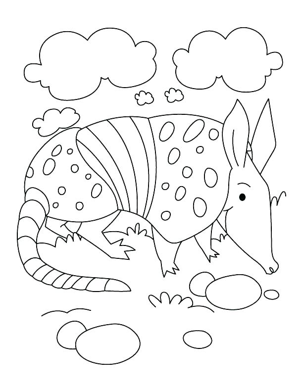 612x792 Armadillo Coloring Pages Decorative Tile Coloring Book Armadillo