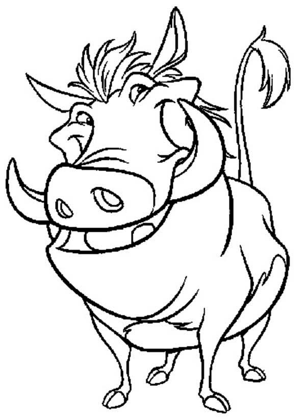 600x821 Timon And Pumbaa Coloring Pages New Simba Timon And Pumbaa Running