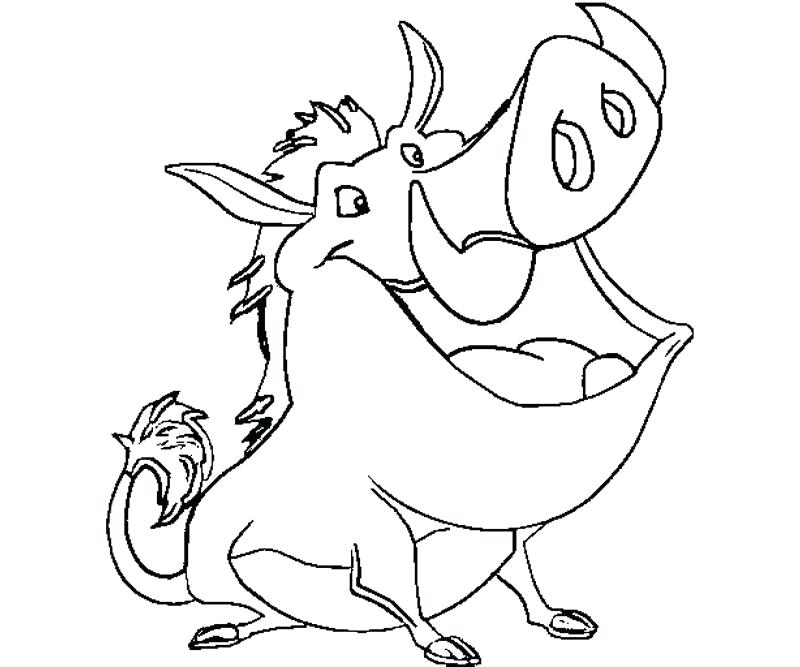 800x667 Timon Coloring Pages Coloring Pages Lion King Timon Coloring Pages