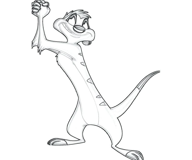 800x667 Timon Coloring Pages Lion King Timon And Pumbaa Coloring Pages