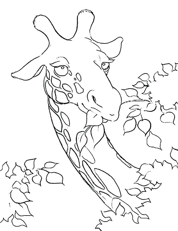612x793 Tinkerbell Halloween Coloring Pages Free Coloring Pages Coloring