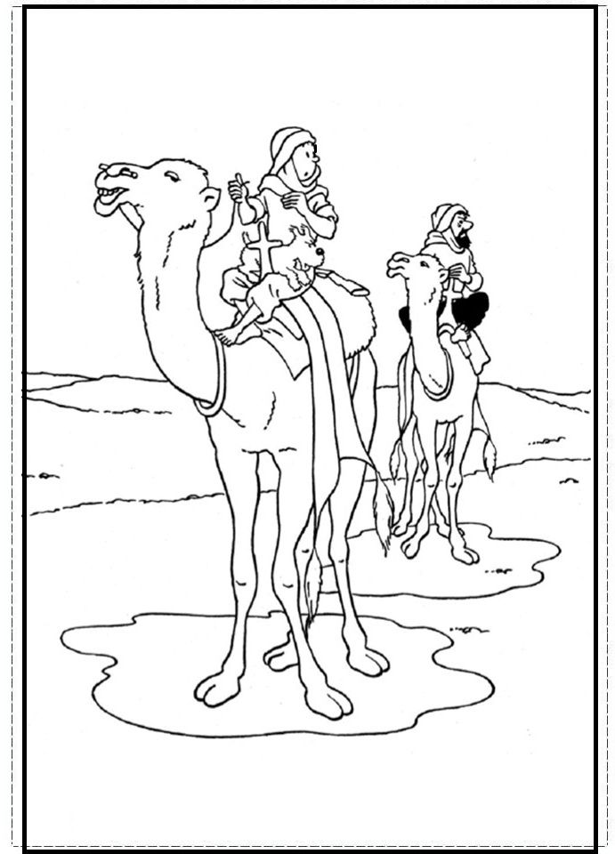 691x960 22 Best Colo Tintin Images On Tintin Coloring Books