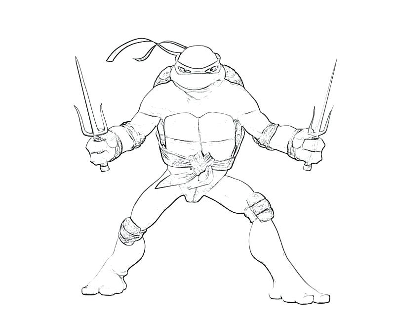 800x667 Coloring Pages Printable Pages 3 Cartoons Ninja Free Coloring