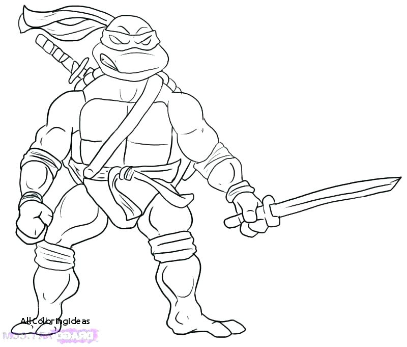 800x681 Michelangelo Ninja Turtle Mask Color Turtles Coloring Page Sapia