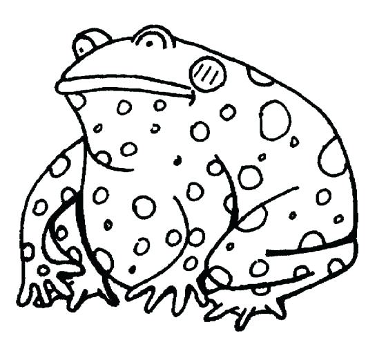 546x518 Toad Coloring Pages Classy Toad Coloring Pages From Super To Print