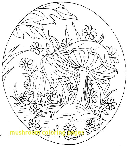 542x611 Mushroom Coloring Pages With Mushroom Mandala Coloring Pages Magic