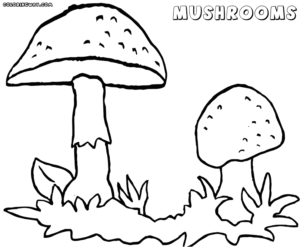 1000x815 23 Mushroom Coloring Pages Images Free Coloring Pages