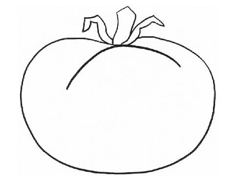 480x370 Tomato Coloring Pages 9 Coloringpagehub