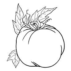 230x230 Top 10 Tomato Coloring Pages Your Toddler Will Love To Color