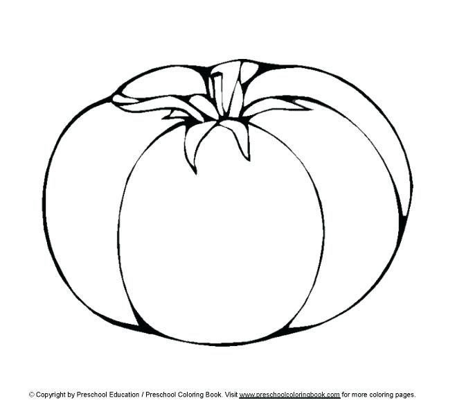 660x584 Lettuce Coloring Page
