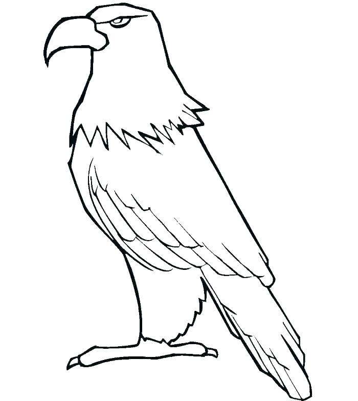 700x783 Hawk Coloring Pages Hawk Coloring Pages Tony Hawk Coloring Pages