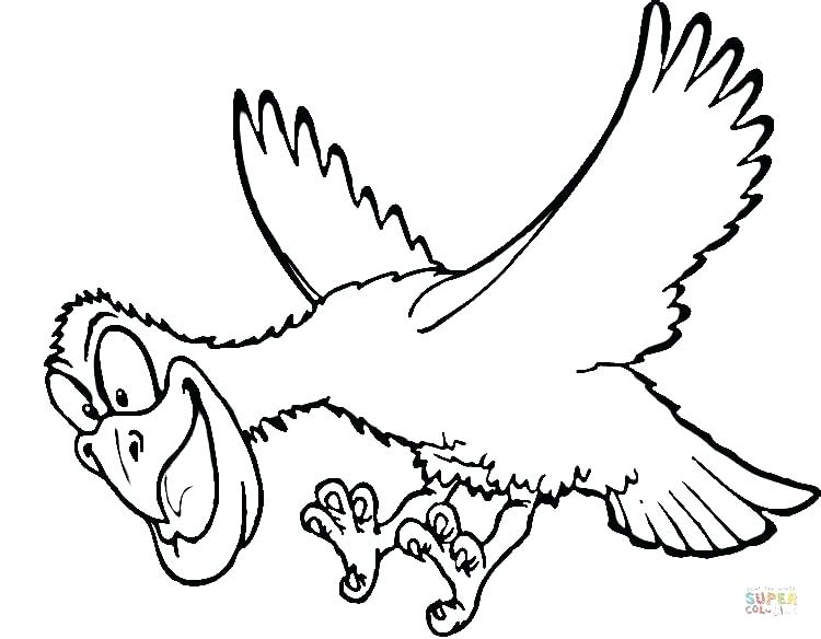 750x584 Hawk Coloring Picture Hawk Coloring Pages Yoschool.site