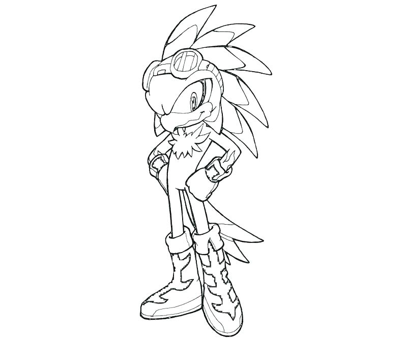 800x667 Hawk Coloring Pages Hawk Coloring Page Tony Hawk Coloring Pages
