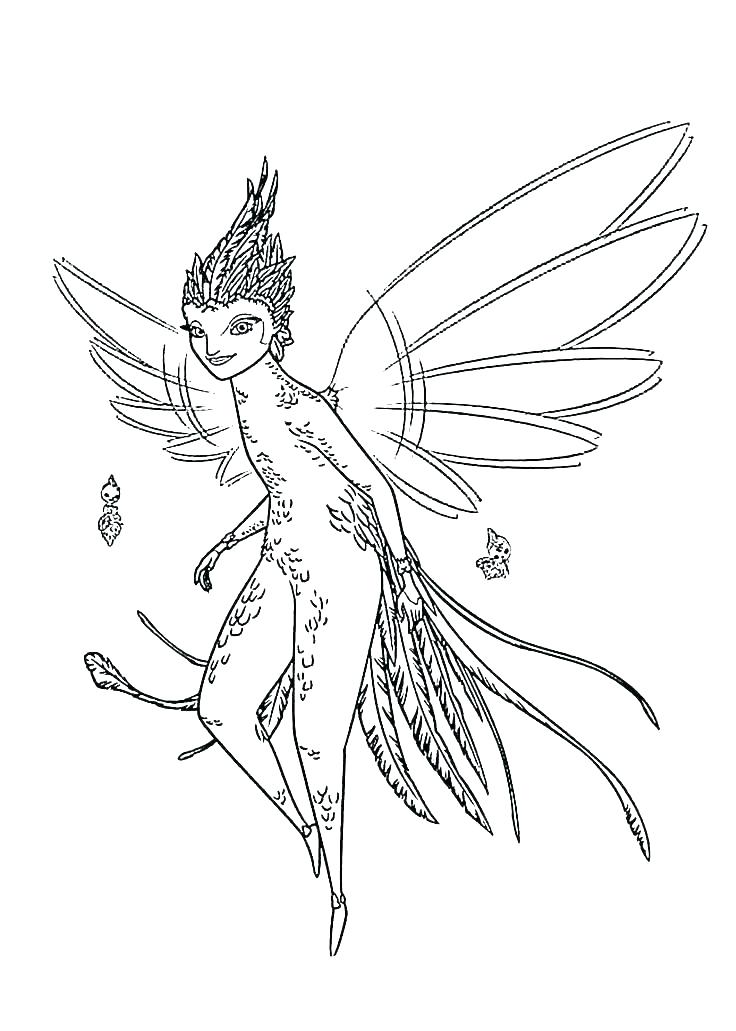 736x1031 Tooth Fairy Color Pages