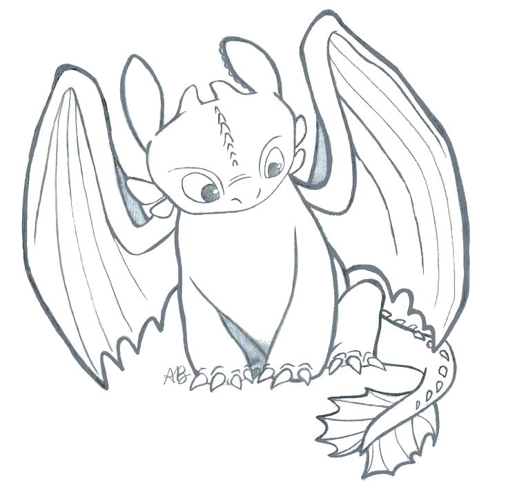 736x702 Toothless And Hiccup Coloring Pages Index Coloring Pages Toothless