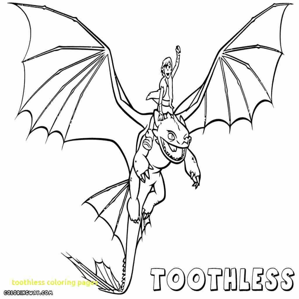 1024x1024 Toothless Coloring Pages Co Unusual Color Page Olegratiy Get Bubbles