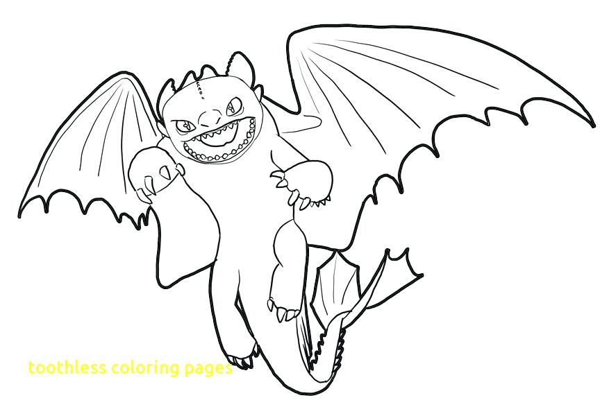 864x587 Toothless Coloring Pages Medium Size Of Toothless Coloring Pages