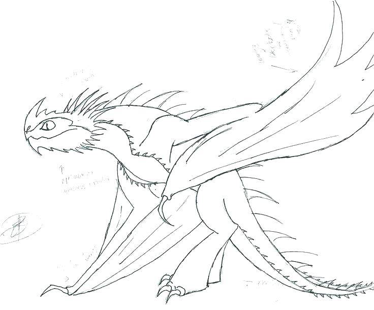 736x610 Coloring Pages Of How To Train Your Dragon Toothless Sit Calmly