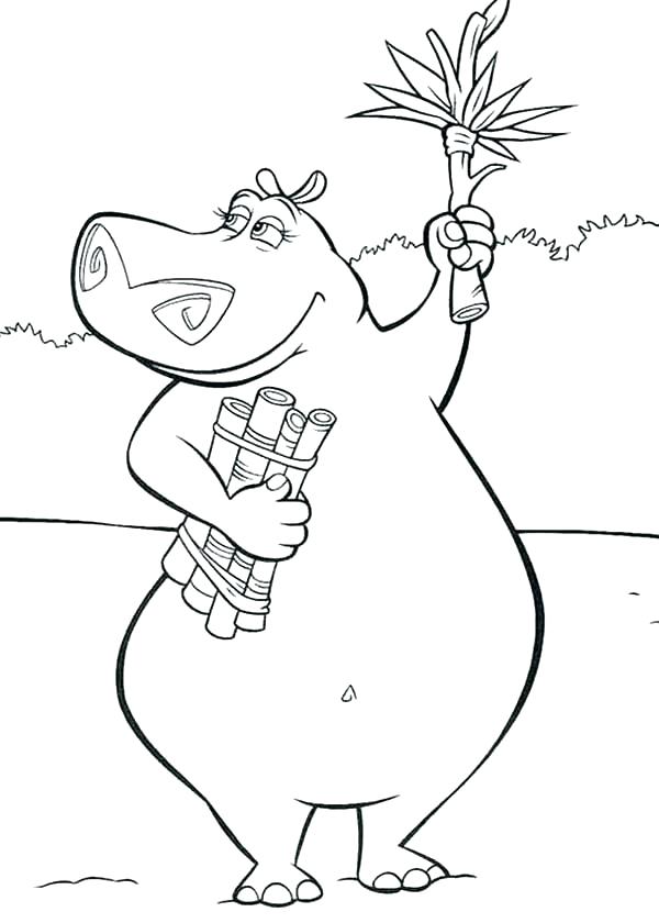 600x840 Color Pages Hippo Coloring Page Hippo Coloring Pages The Hippo