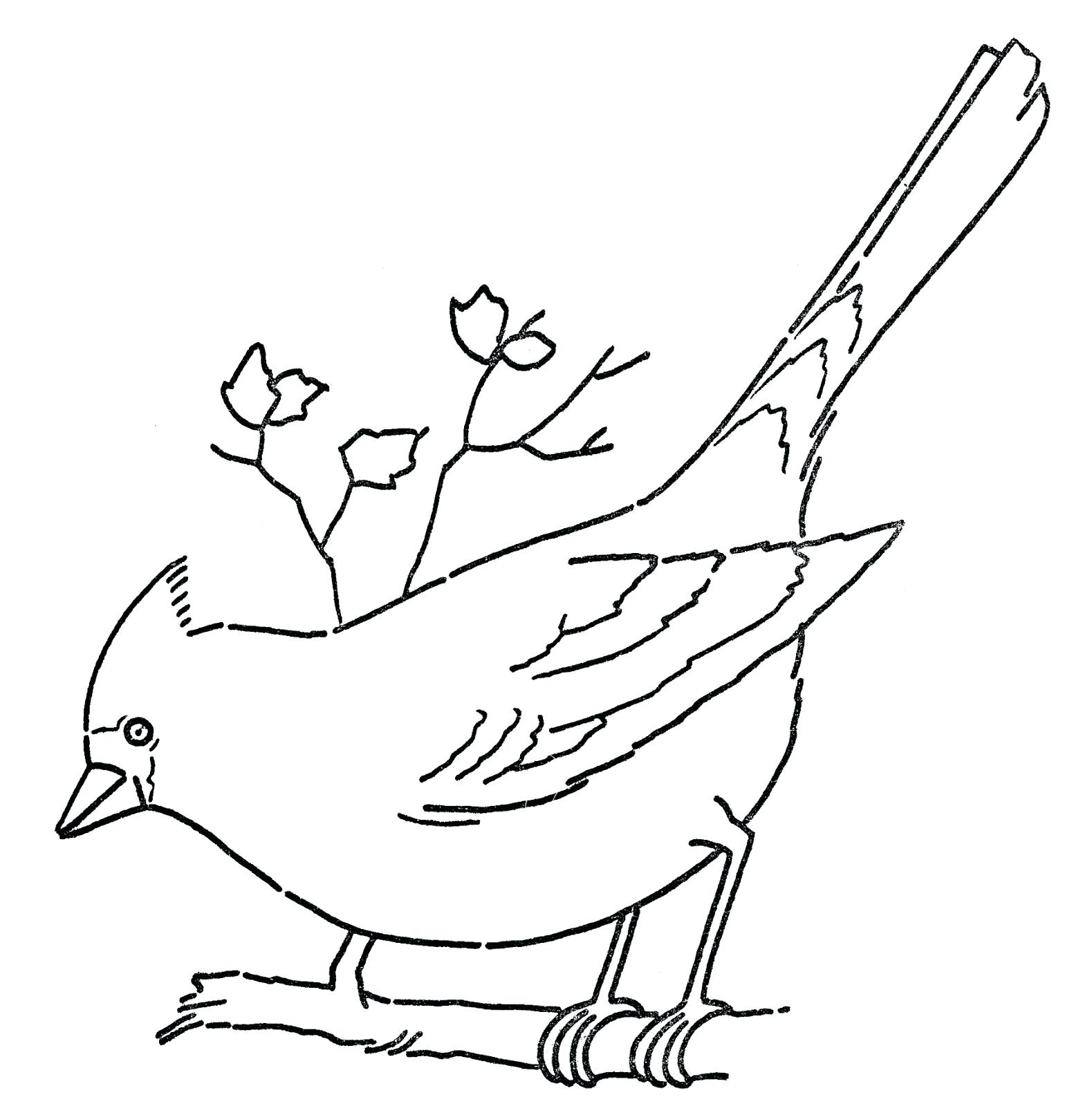 1579x1600 Coloring Pages ~ Tornado Coloring Pages Drawing 4 Wizard Of Oz