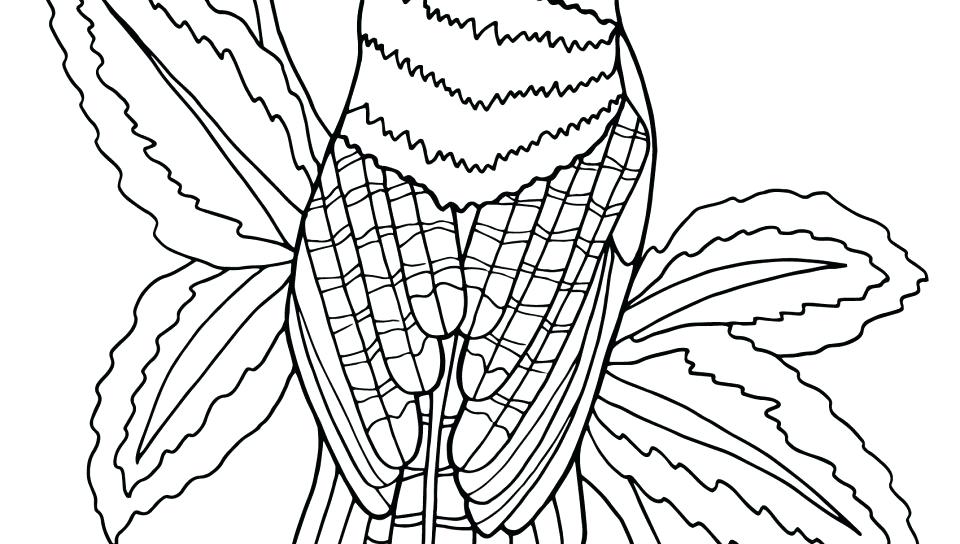 960x544 Toronto Blue Jays Coloring Sheet Page Blues Clues House Pages
