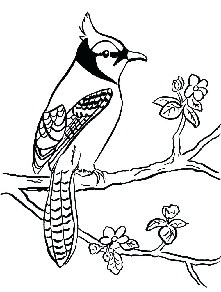 760x1003 Blue Coloring Page Blue Coloring Pages One Fish Two Fish Red Fish