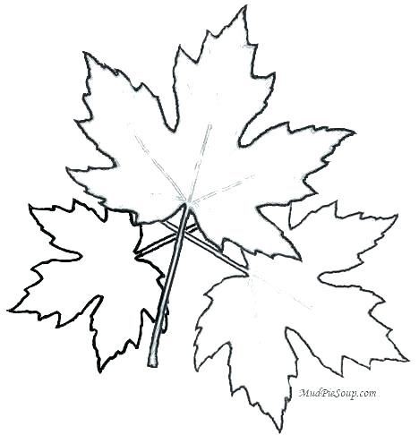 468x486 Colouring Pages Of Toronto Maple Leafs Leaf Coloring Page