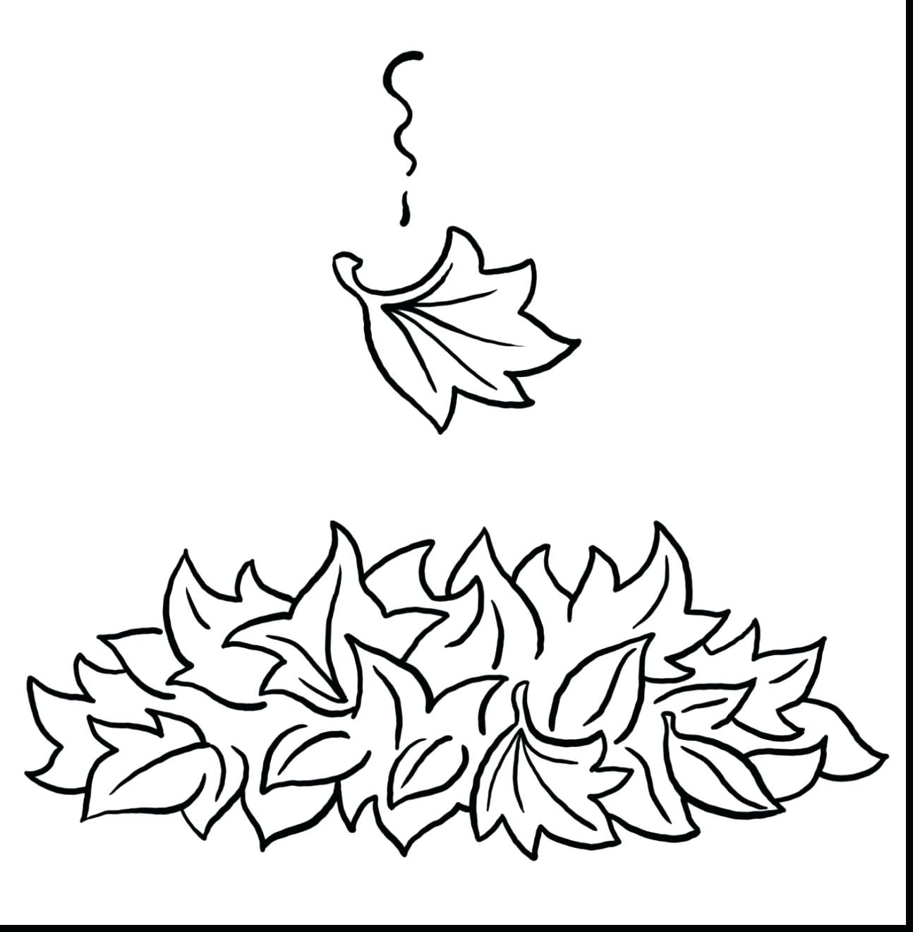 1294x1320 Innovative Big Leaf Coloring Pages Sturdy Mapl