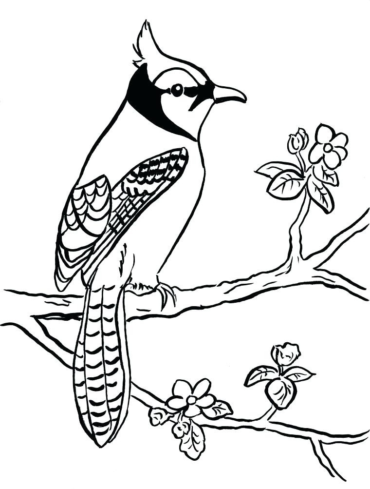 760x1003 Blue Bird Coloring Pages Free Blue Coloring Page