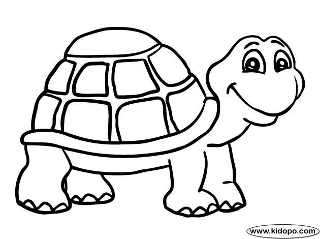 630x470 Tortoise Coloring Page