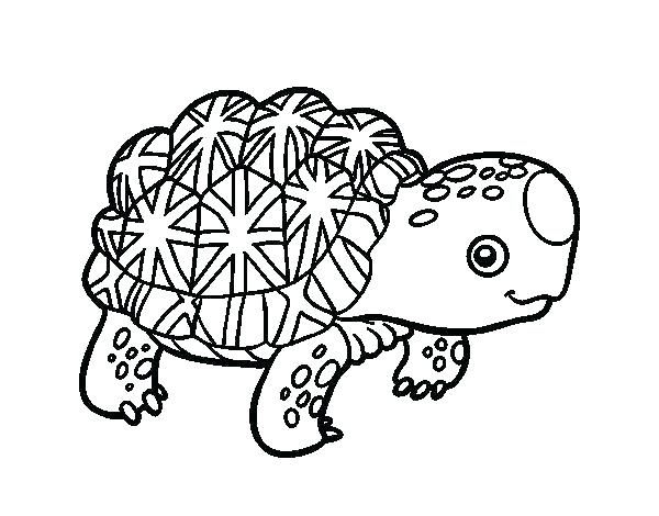 600x470 Tortoise Coloring Page Desert Tortoise Coloring Page Galapagos