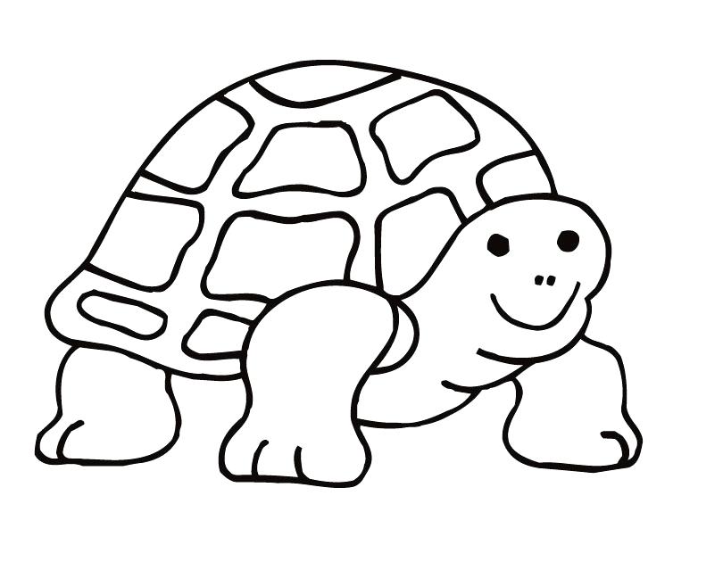 810x630 Tortoise Coloring Page Tortoise Coloring Page Galapagos Tortoise