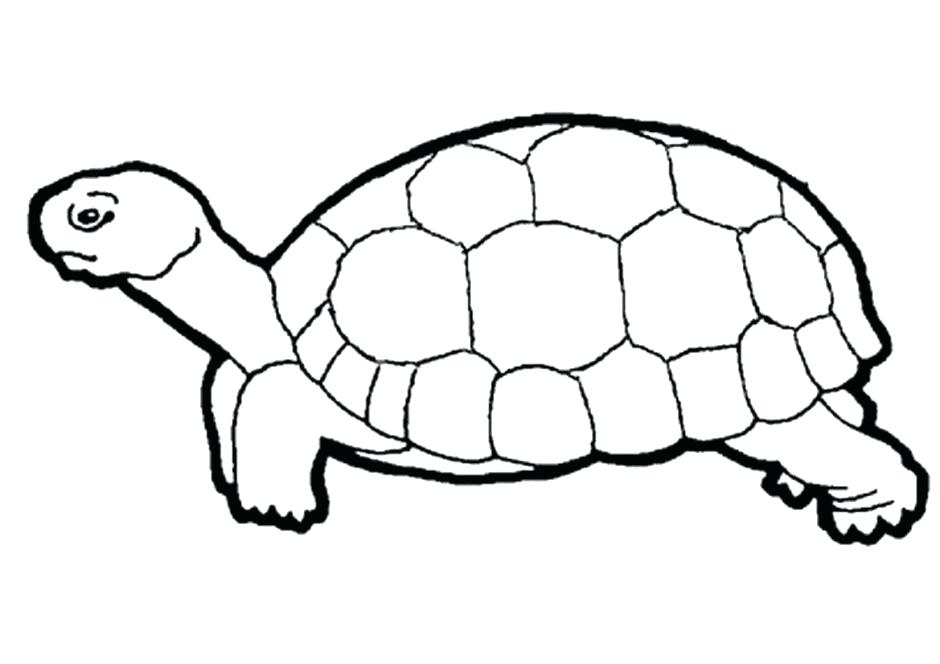 940x664 Tortoise Coloring Page Tortoise Coloring Page Tortoise And
