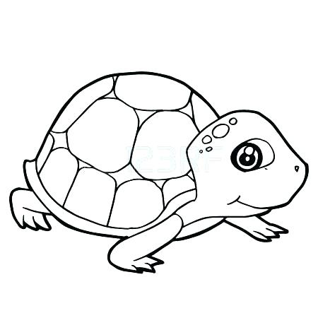 450x450 With Land Tortoise Coloring Pages Page Sometimes Called An Spurred