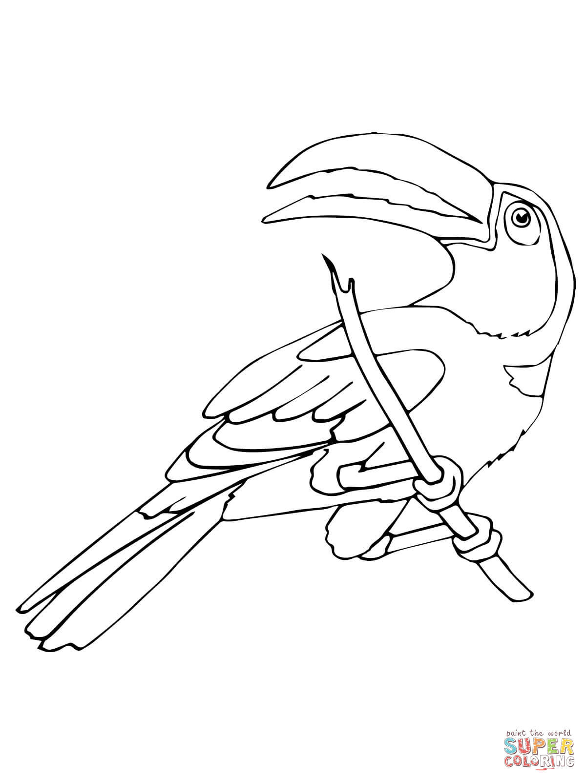 1200x1600 Rainforest Toucan Bird Coloring Page Wecoloringpage Inside Tucan