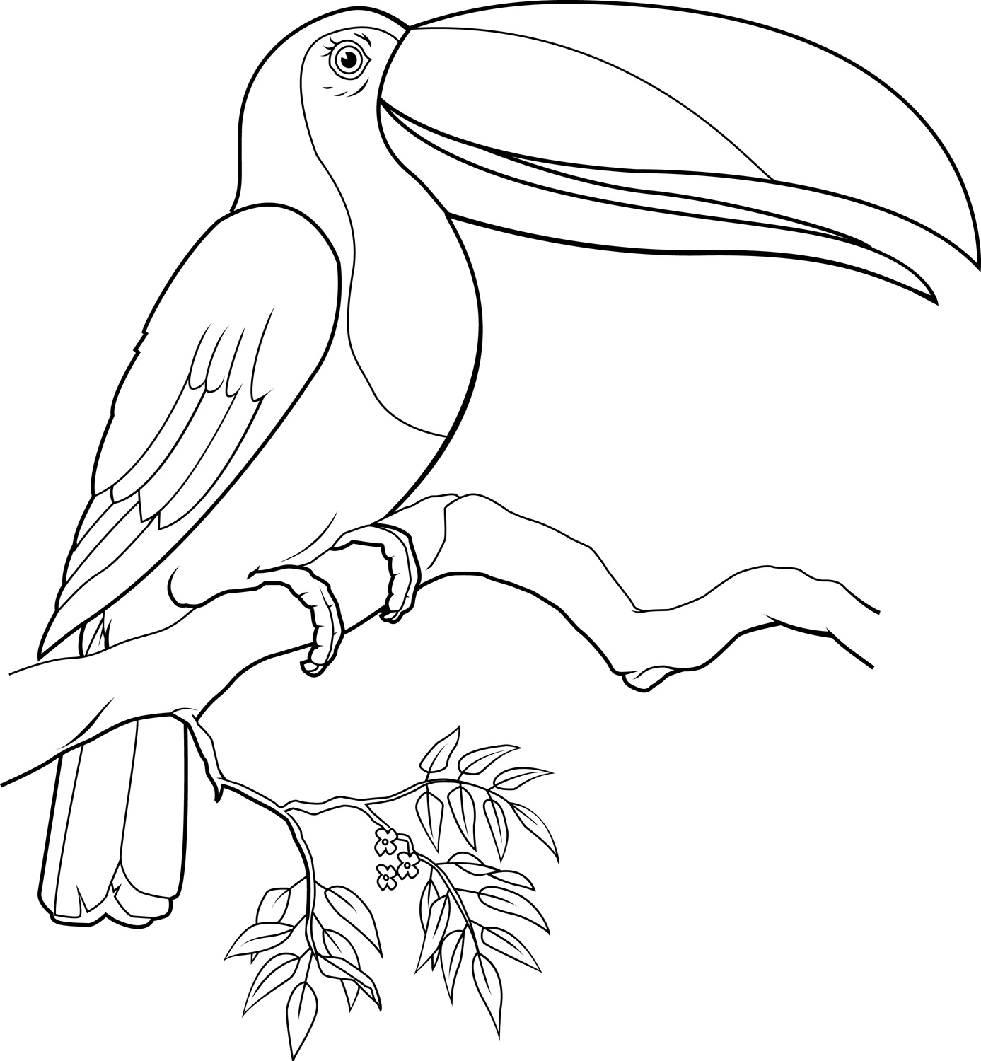 1387x1500 Toucan Coloring Pages