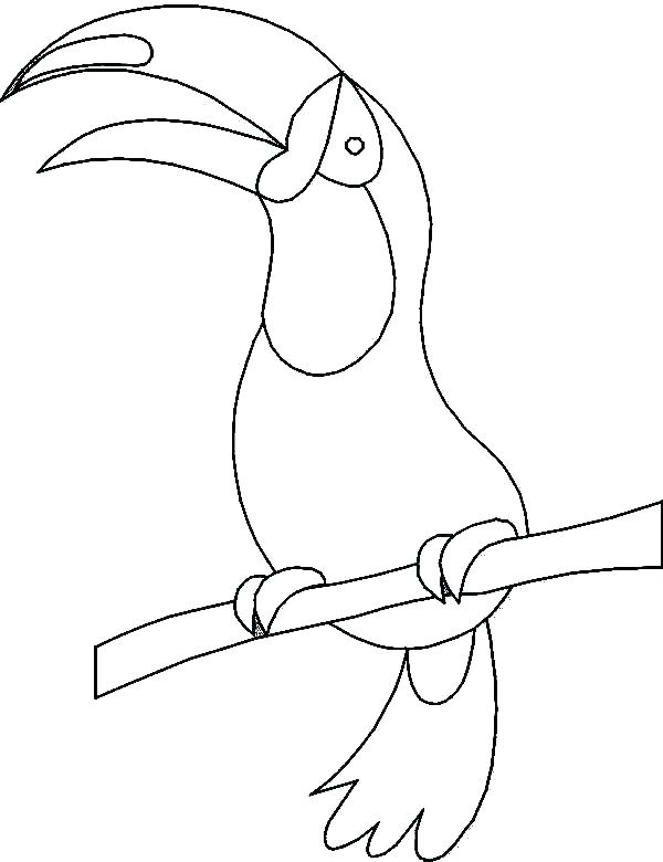 600x780 Toucan Coloring Pages To Print Toucan Bird Coloring Pages