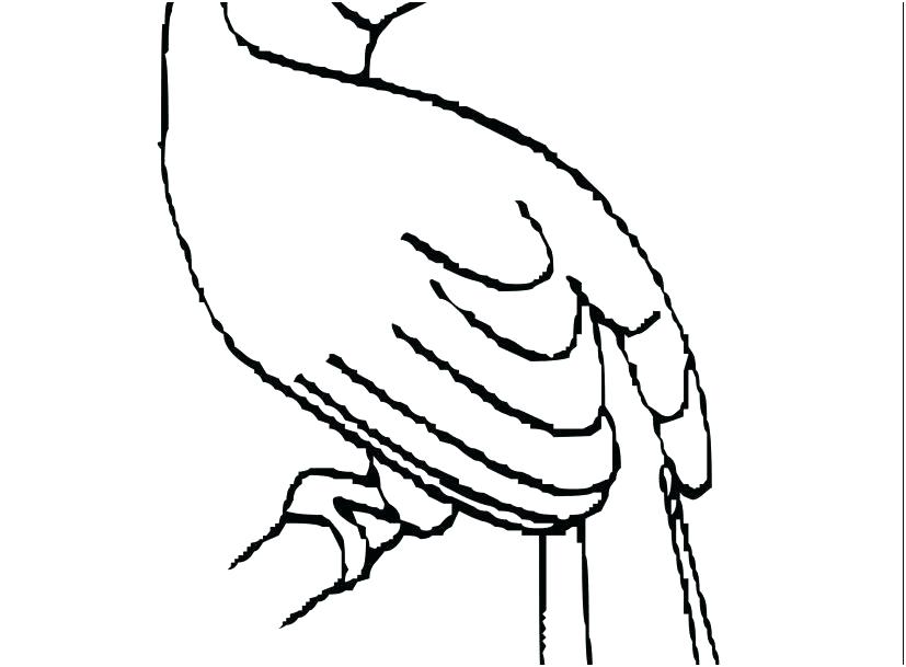 827x609 Big Bird Printable Coloring Pages Vanda