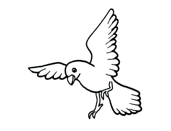 600x460 Toucan Bird Coloring Page For Kids