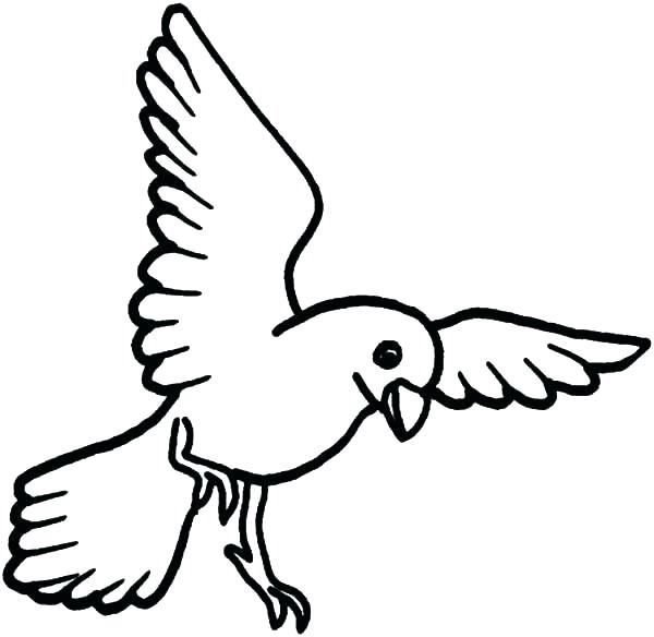 600x584 Coloring Page Of A Bird Coloring Page Bird Toucan Coloring Page