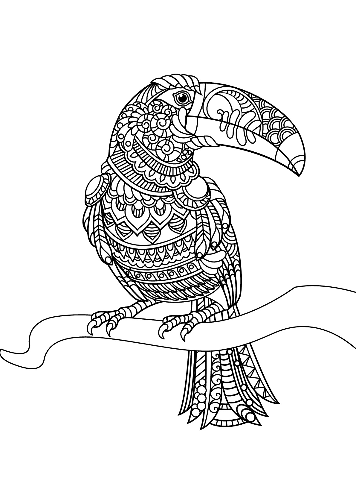 1191x1684 Free Book Toucan