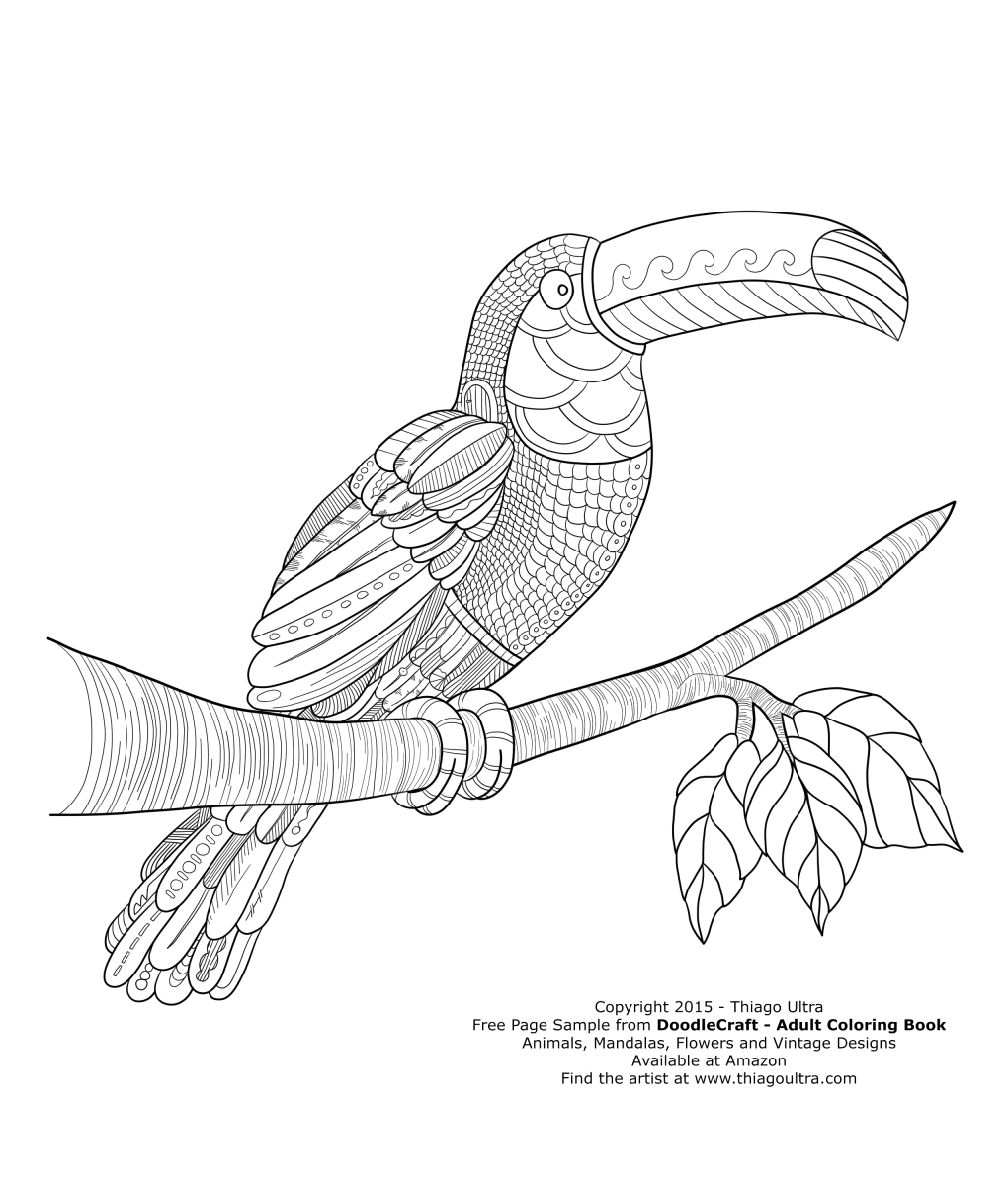 1020x1200 Toucan