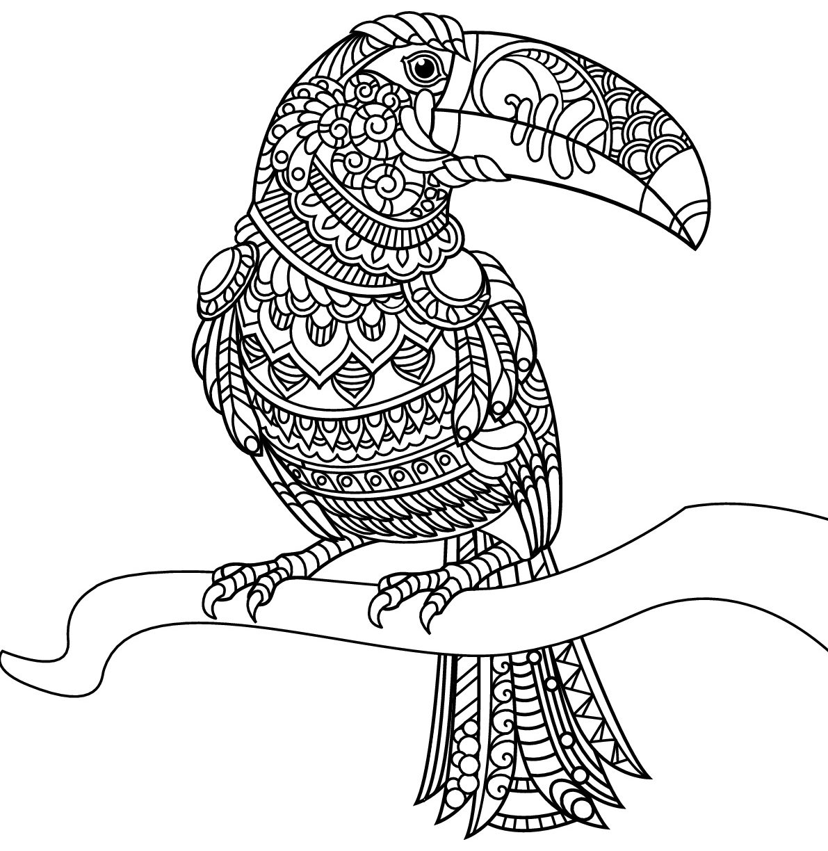 1191x1224 Toucan Coloring Pages To Print Page For Preschoolers Sam Free