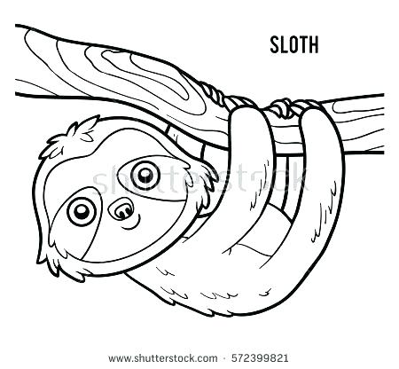 450x416 Bird Coloring Pages Printable Toucan Coloring Page Toucan Coloring