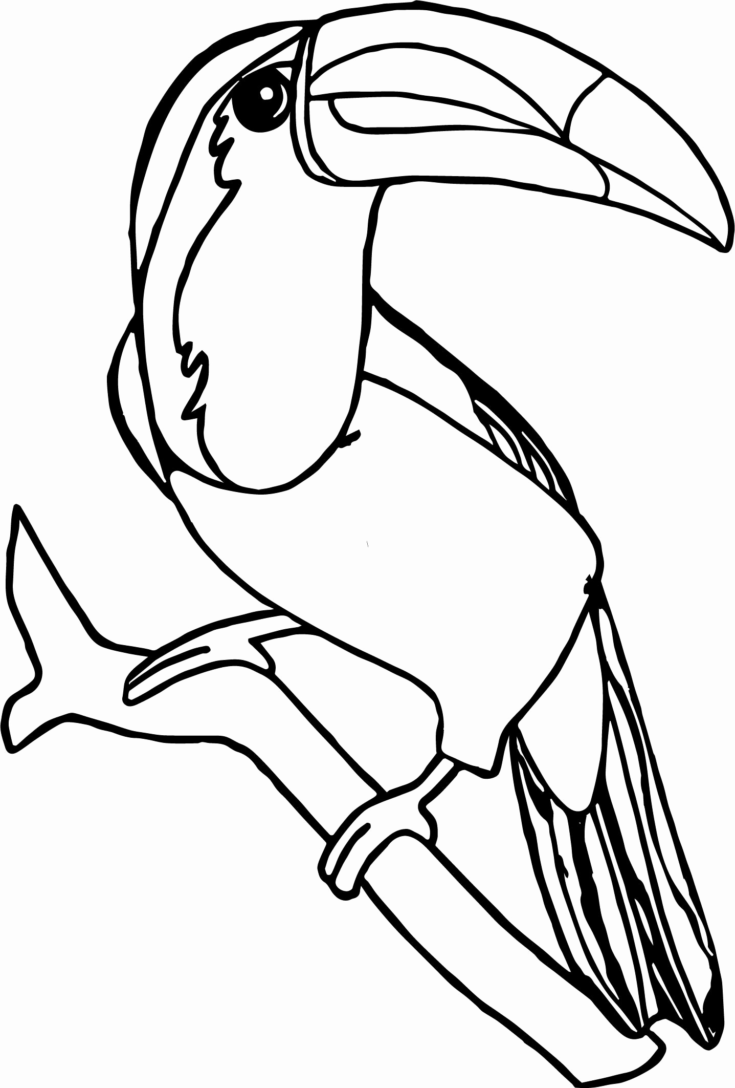 1437x2125 Toucan Coloring Page Pages Beautiful With Ribsvigyapan Toucan